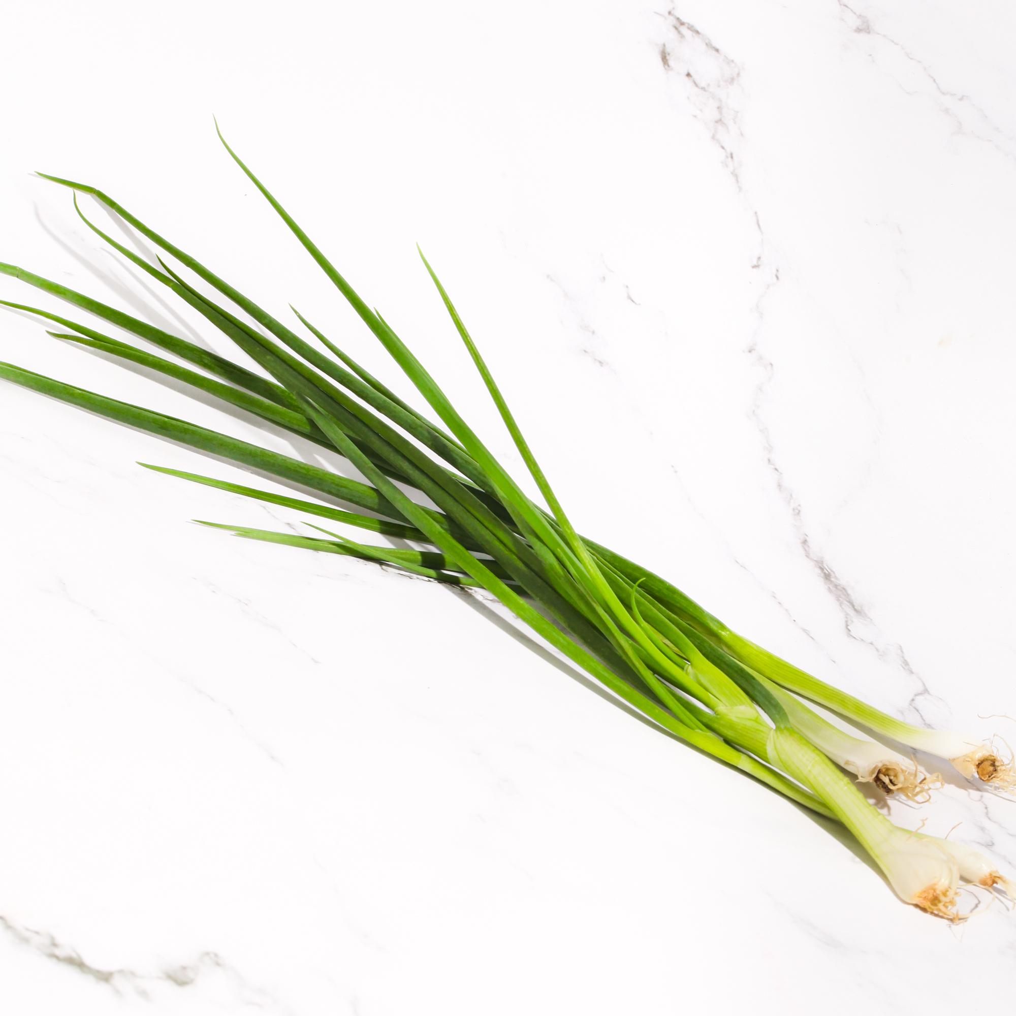 Organic Spring Onion